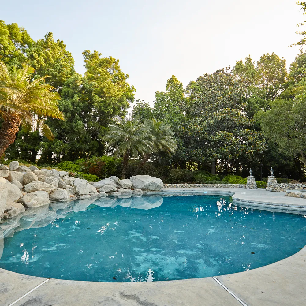 Outdoor pool surrounded by palm trees and rocks
