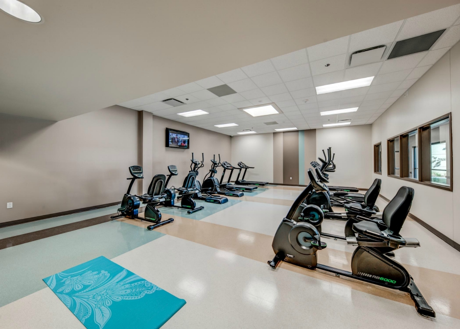Exercise bikes and elliptical machines in gym