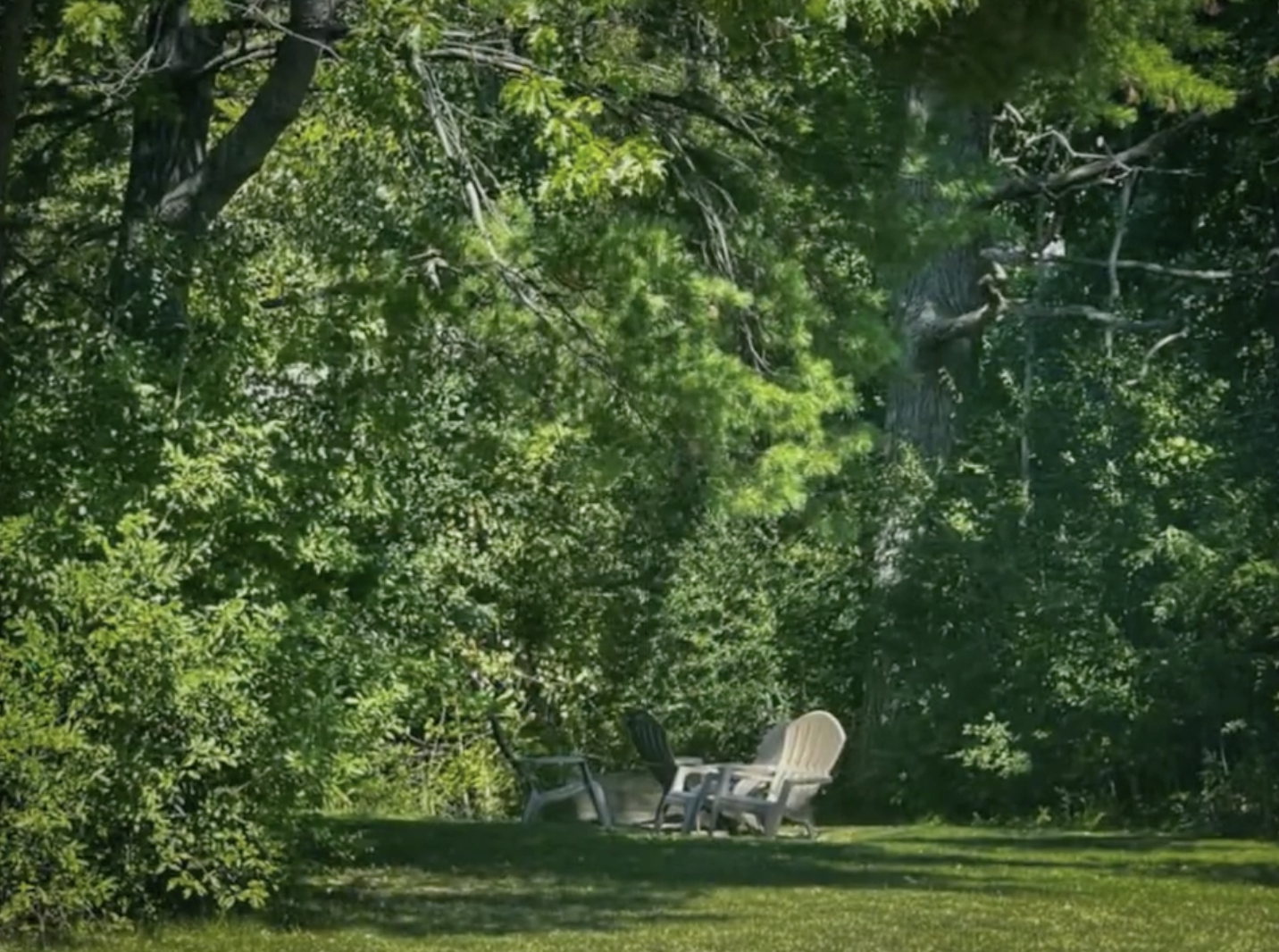 Lawn seating surrounded by dense green woods