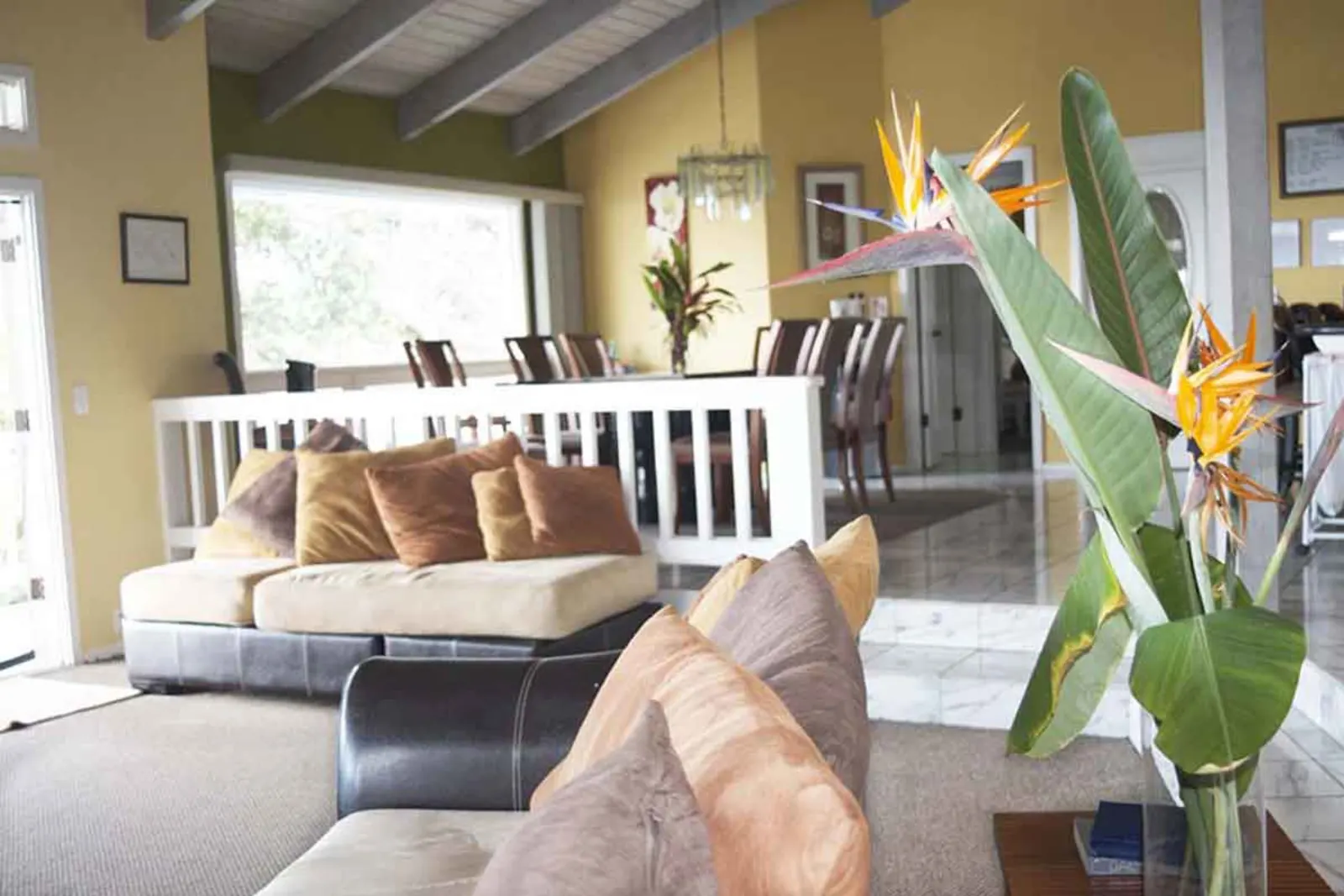 Open-plan living and dining area with tropical decor