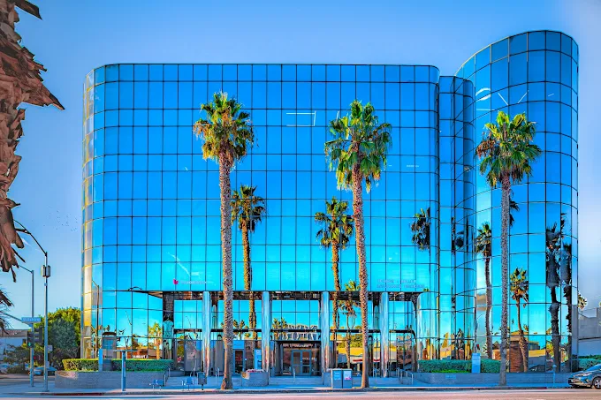 Modern glass building with palm trees in front