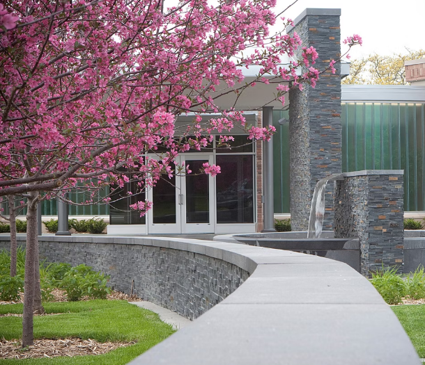 Entrance walkway with flowering tree and stone water feature