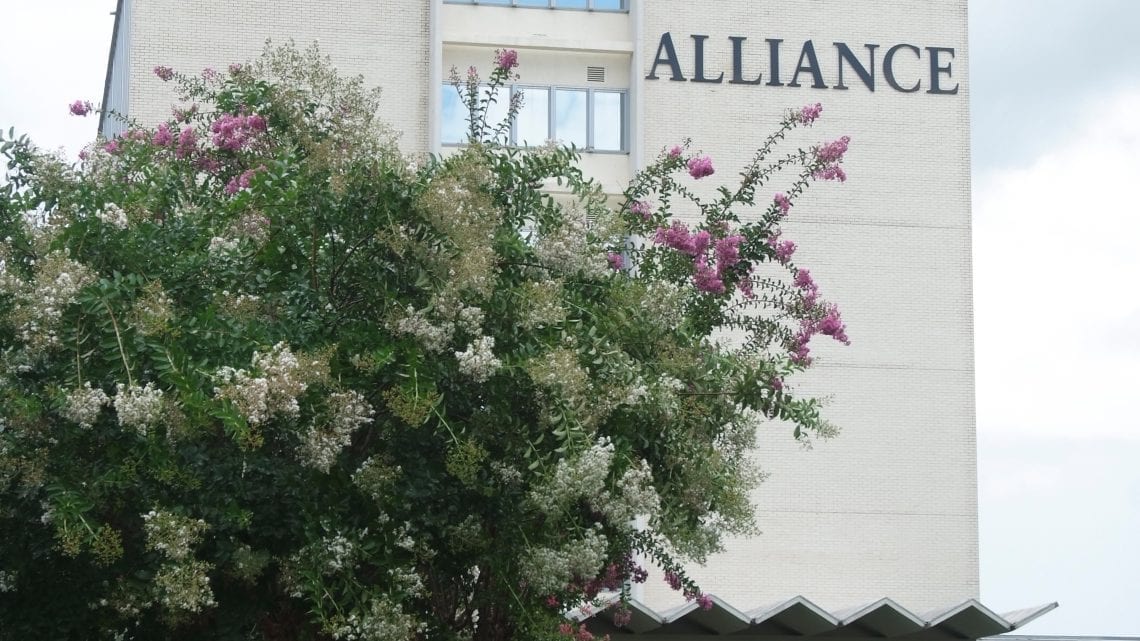 Alliance Health Center building behind flowering trees