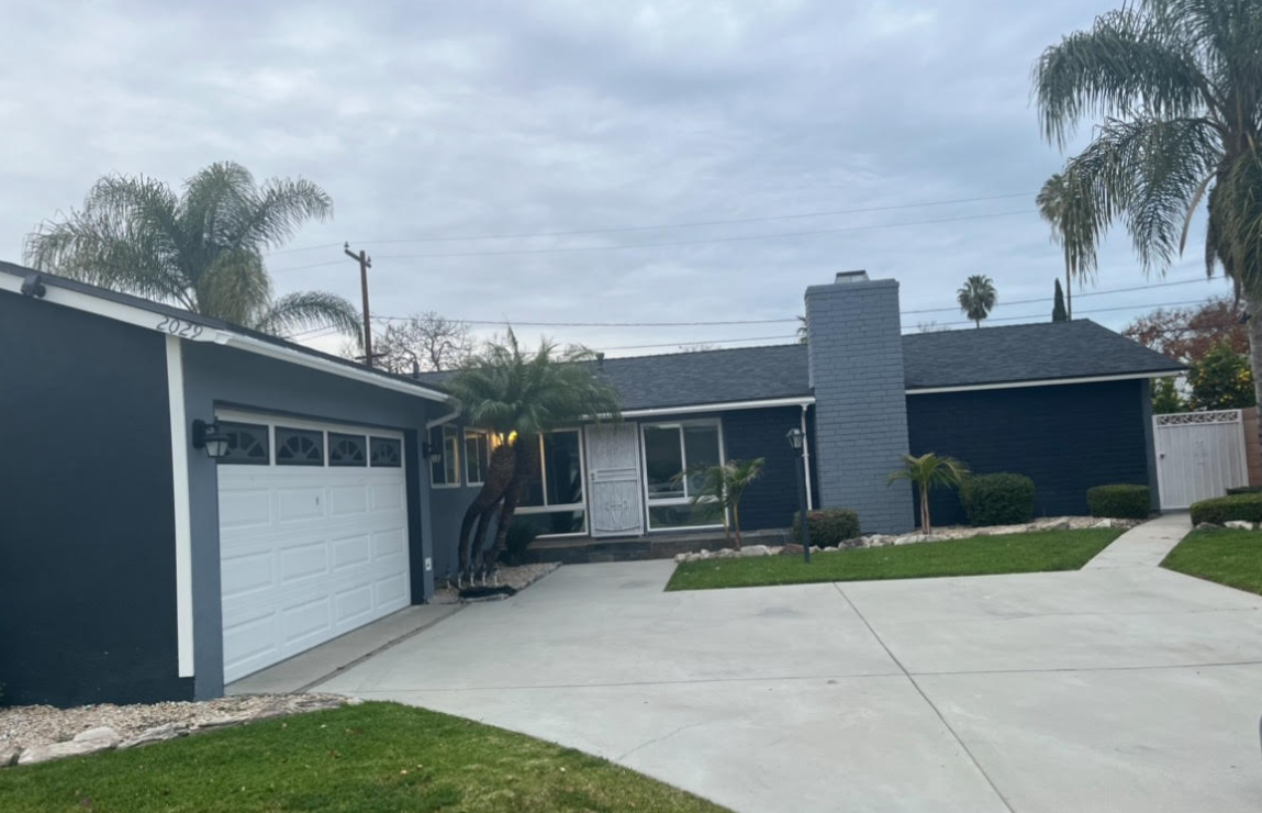 Modern single-story home with palm trees and driveway