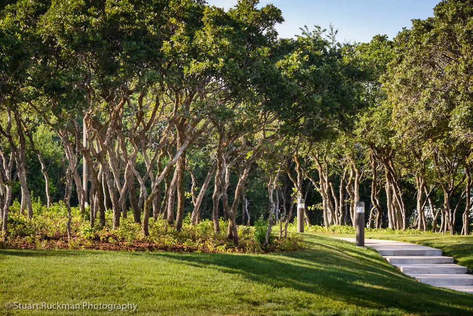 Outdoor courtyard with walking path and landscaped greenery.