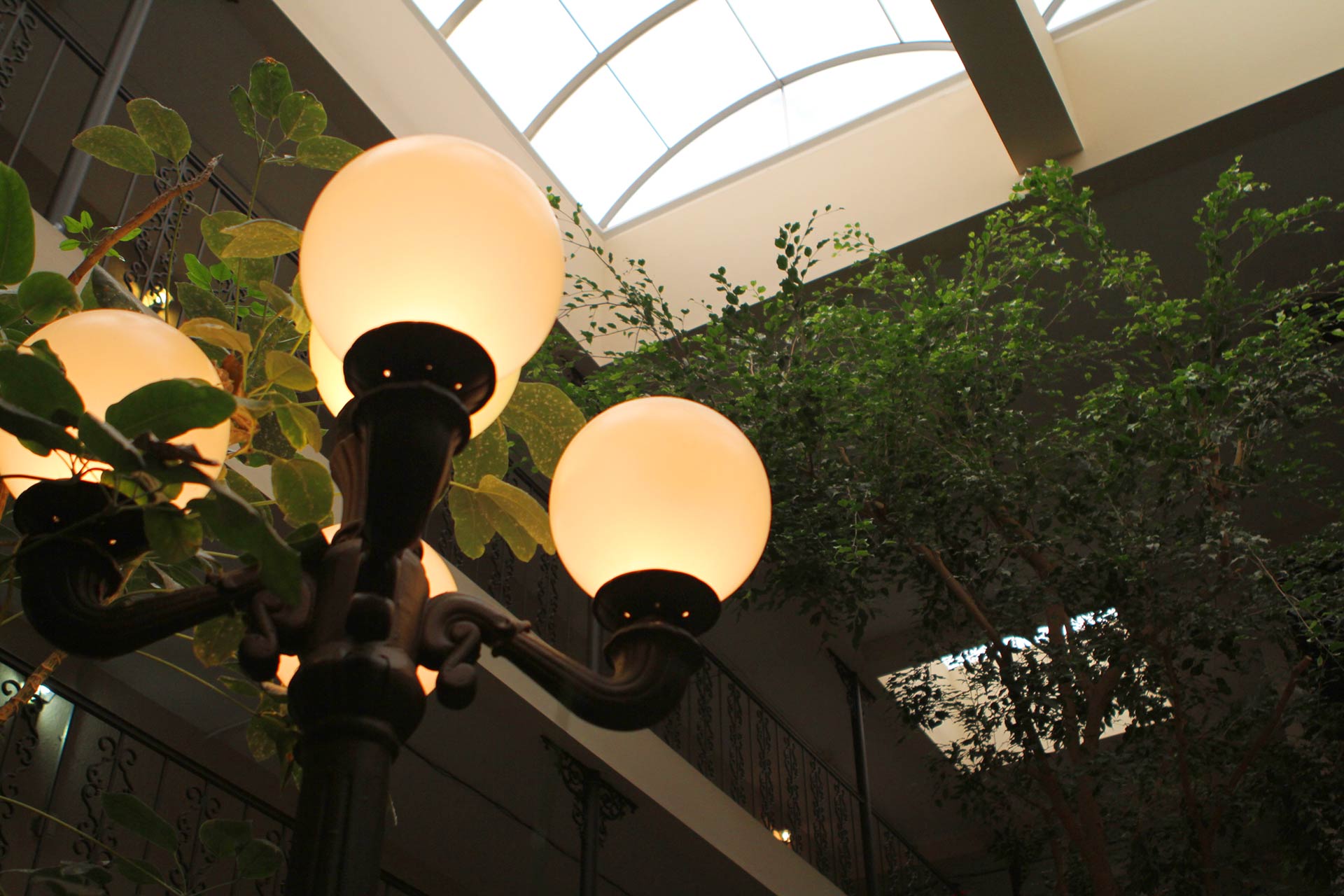 Close-up of glowing lamp with greenery and skylight