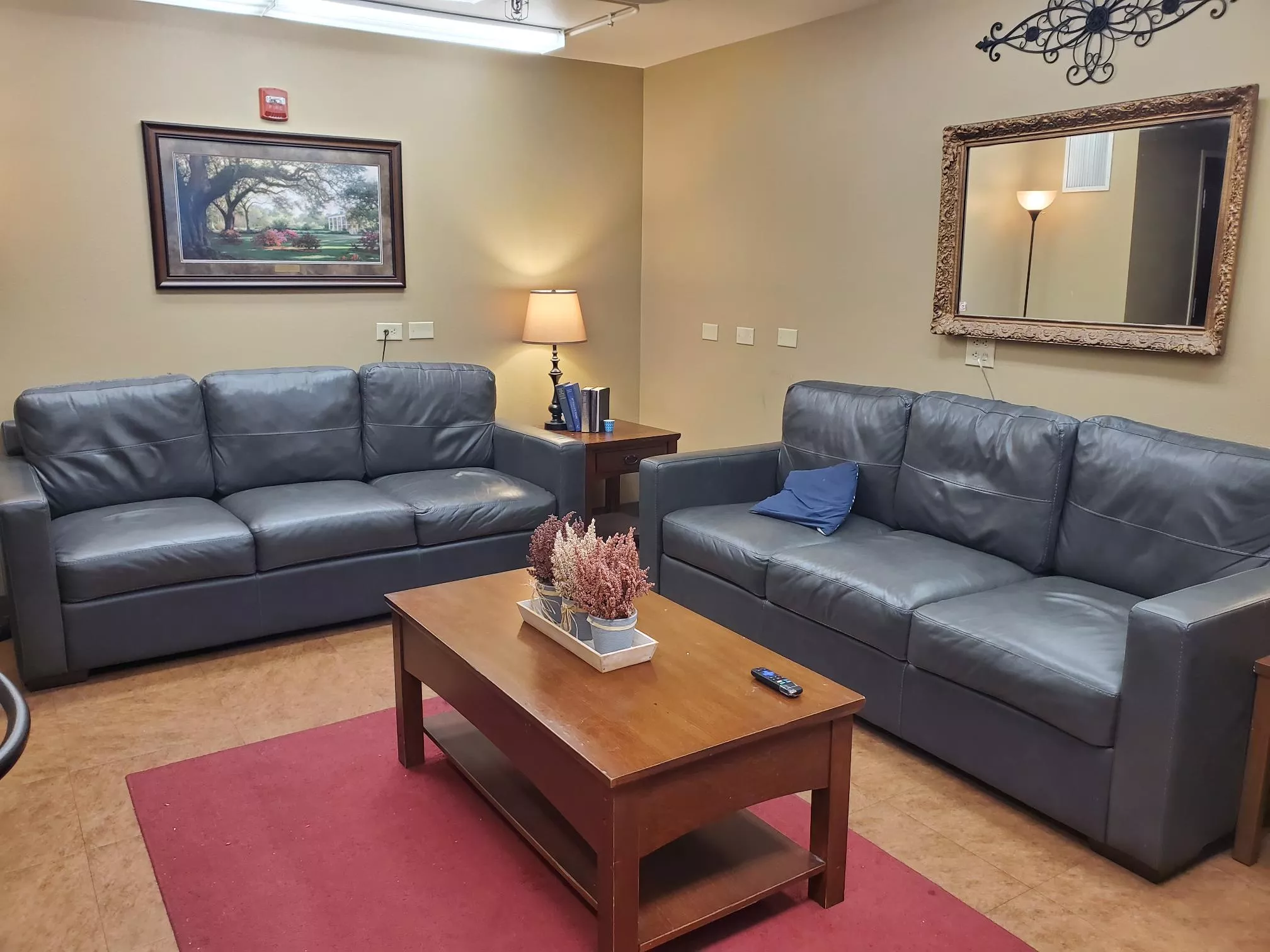 Lounge with sofas, coffee table, lamp, and framed wall art