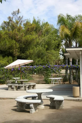 Patio with stone tables, benches, and umbrella shade
