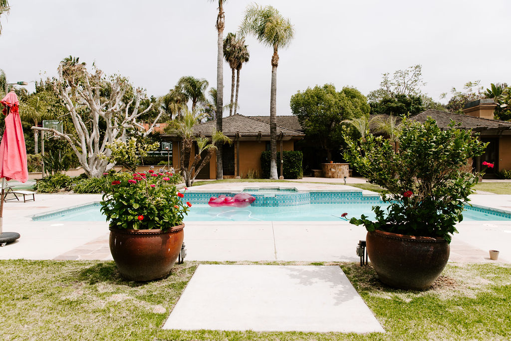 Outdoor pool with lounge chairs and palm trees