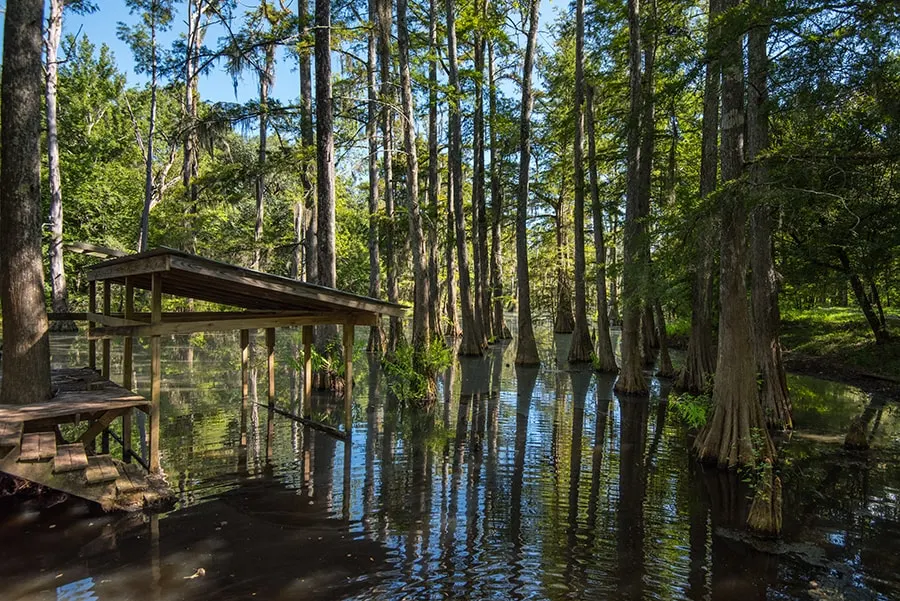 Peaceful wooded area with water and shaded seating