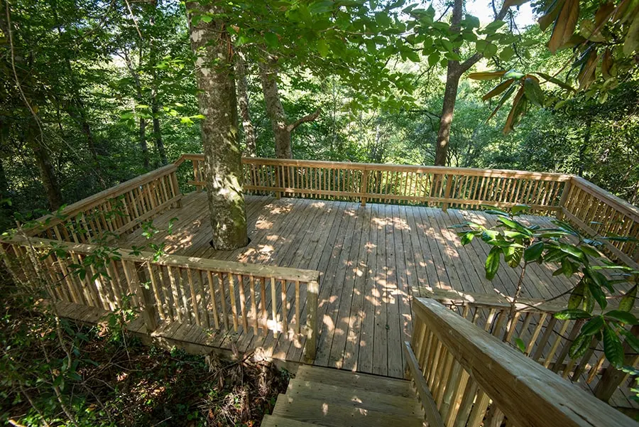 Wooden deck built around trees in a forest setting