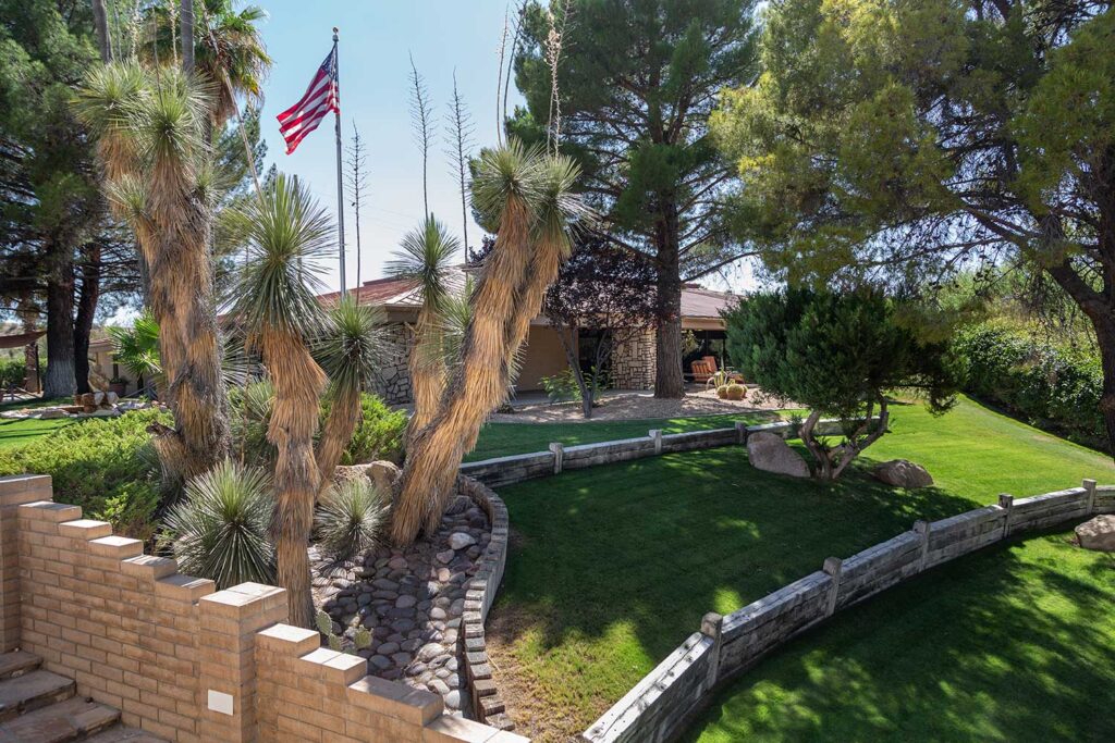 Rehab campus exterior with greenery and desert plants