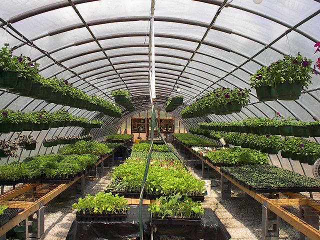 Faith Home Inc Christian Alcohol Drug Rehabilitation Greenwood Greenhouse