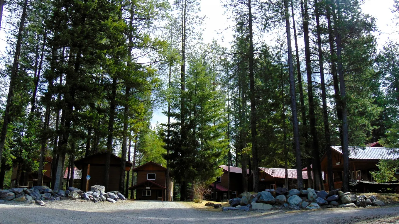 Wood cabin buildings nestled among tall evergreen trees at the Columbia Falls recovery campus