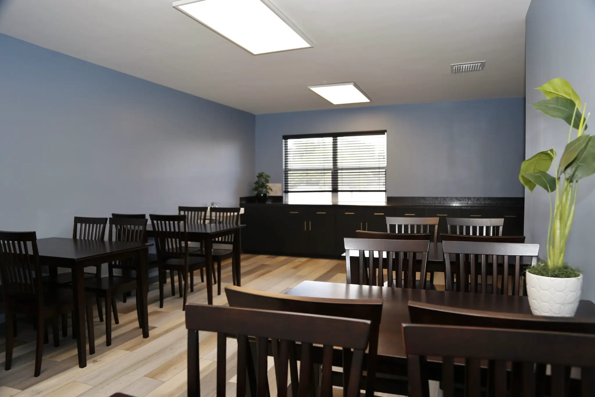 Dining hall with dark wood tables, chairs, and blue walls