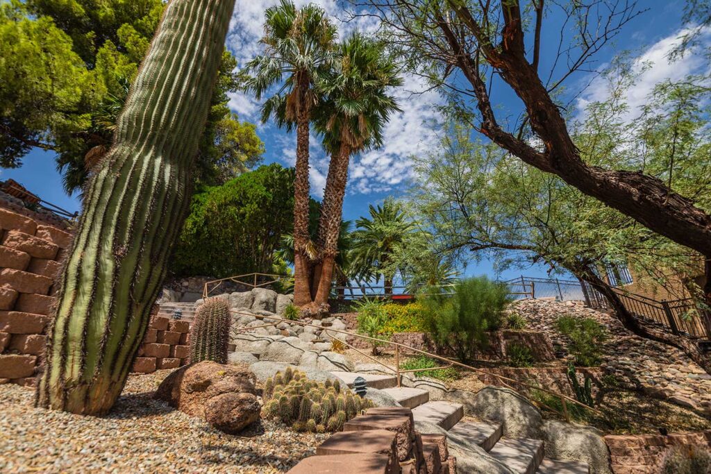 Desert landscape with cacti, palm trees, and stone steps