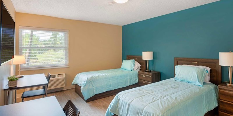 A bright, modern shared bedroom with two comfortable beds, a vibrant teal accent wall, and natural light streaming through the window.