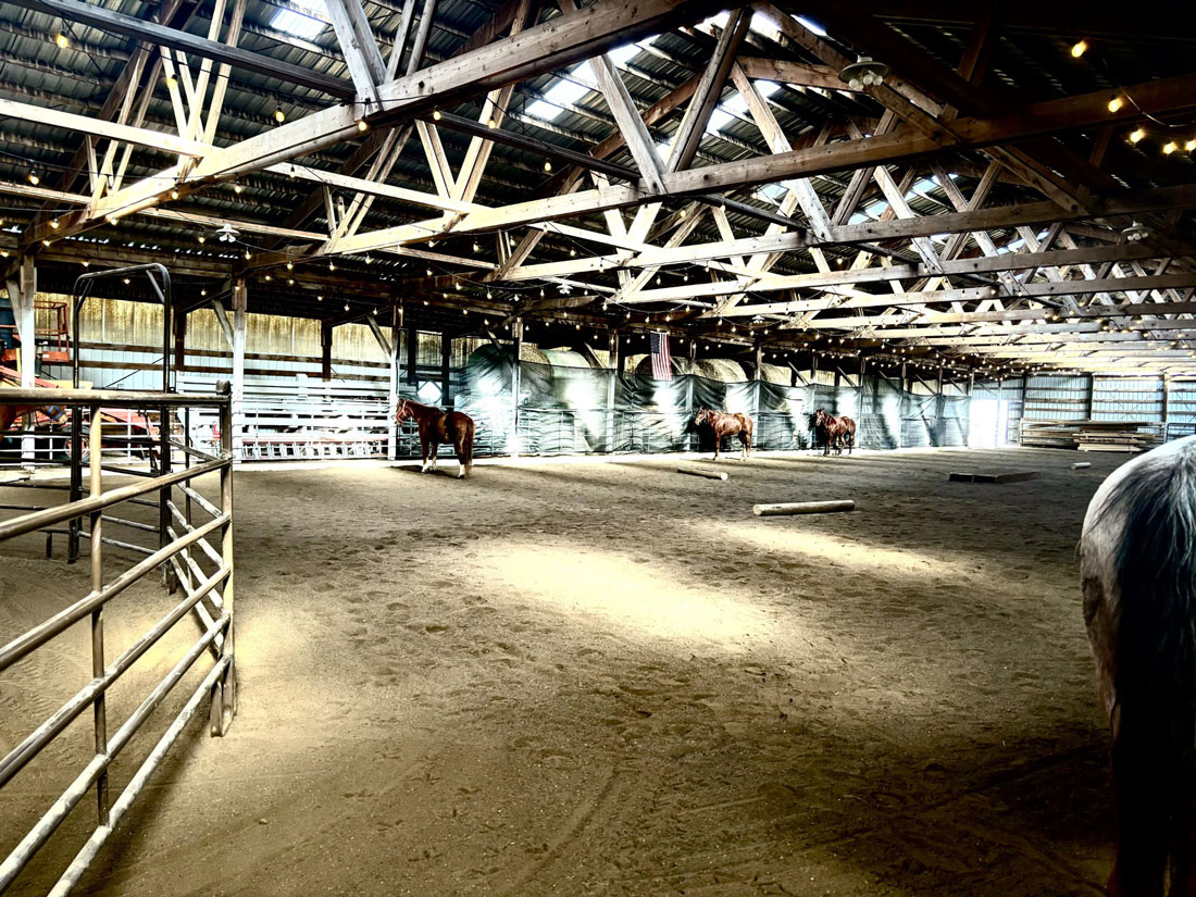 Indoor arena with horses for equine therapy