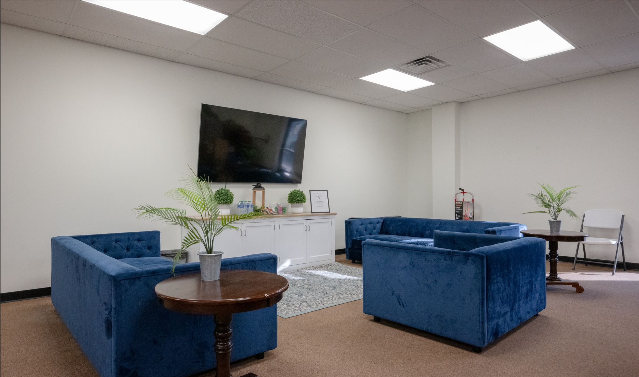 Comfortable lounge with blue sofas, TV, and potted plants