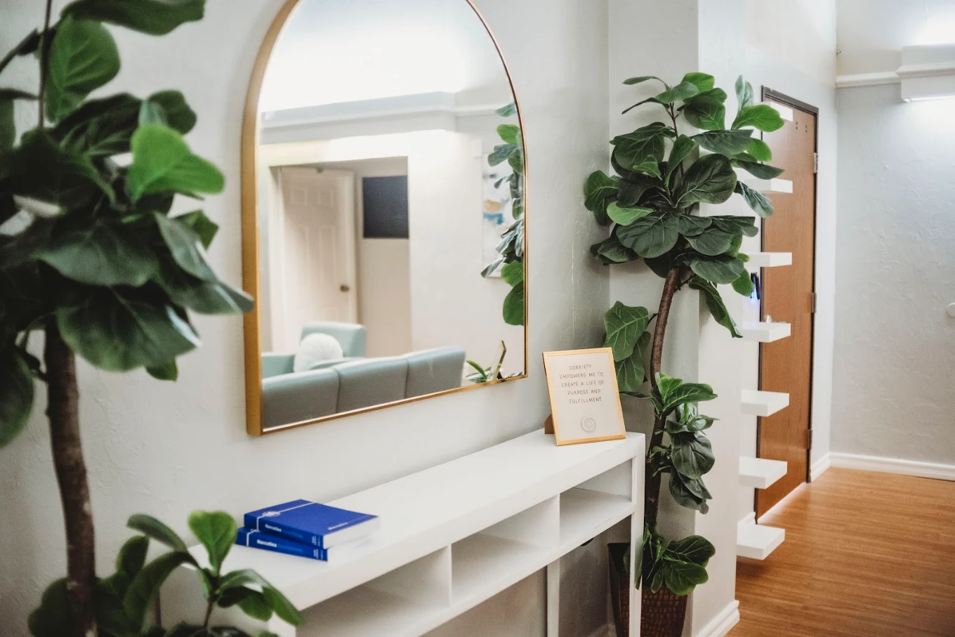 Bright entry hallway with mirror, console table, and plants