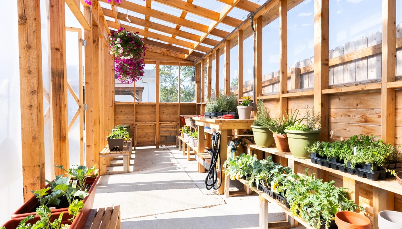 Greenhouse with plants in pots and hanging baskets.