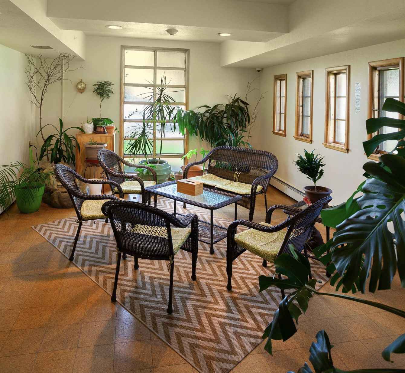 Lounge with wicker chairs, houseplants, and natural light