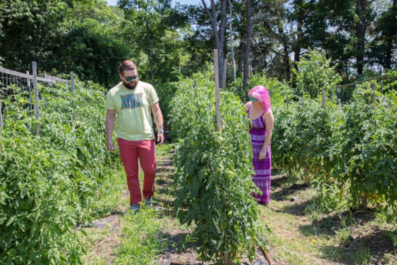 Two people tending plants in a sunny garden area.