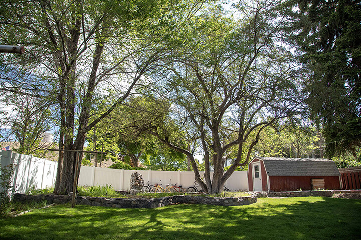 Spacious grassy backyard with mature trees and red shed