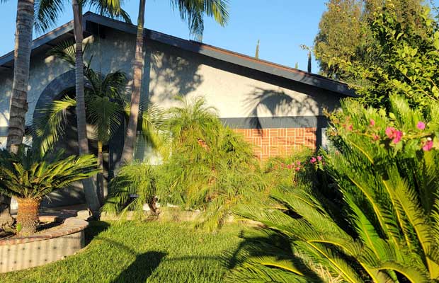 Palm trees and flowers around house in sunny yard