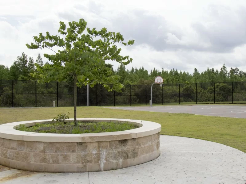 Courtyard with tree planter and outdoor court view