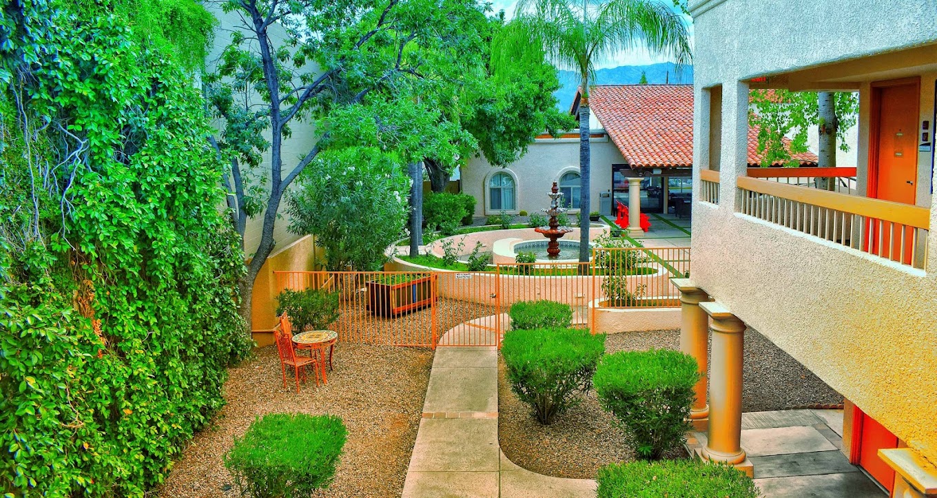 Lush courtyard with a fountain, trees, and seating.