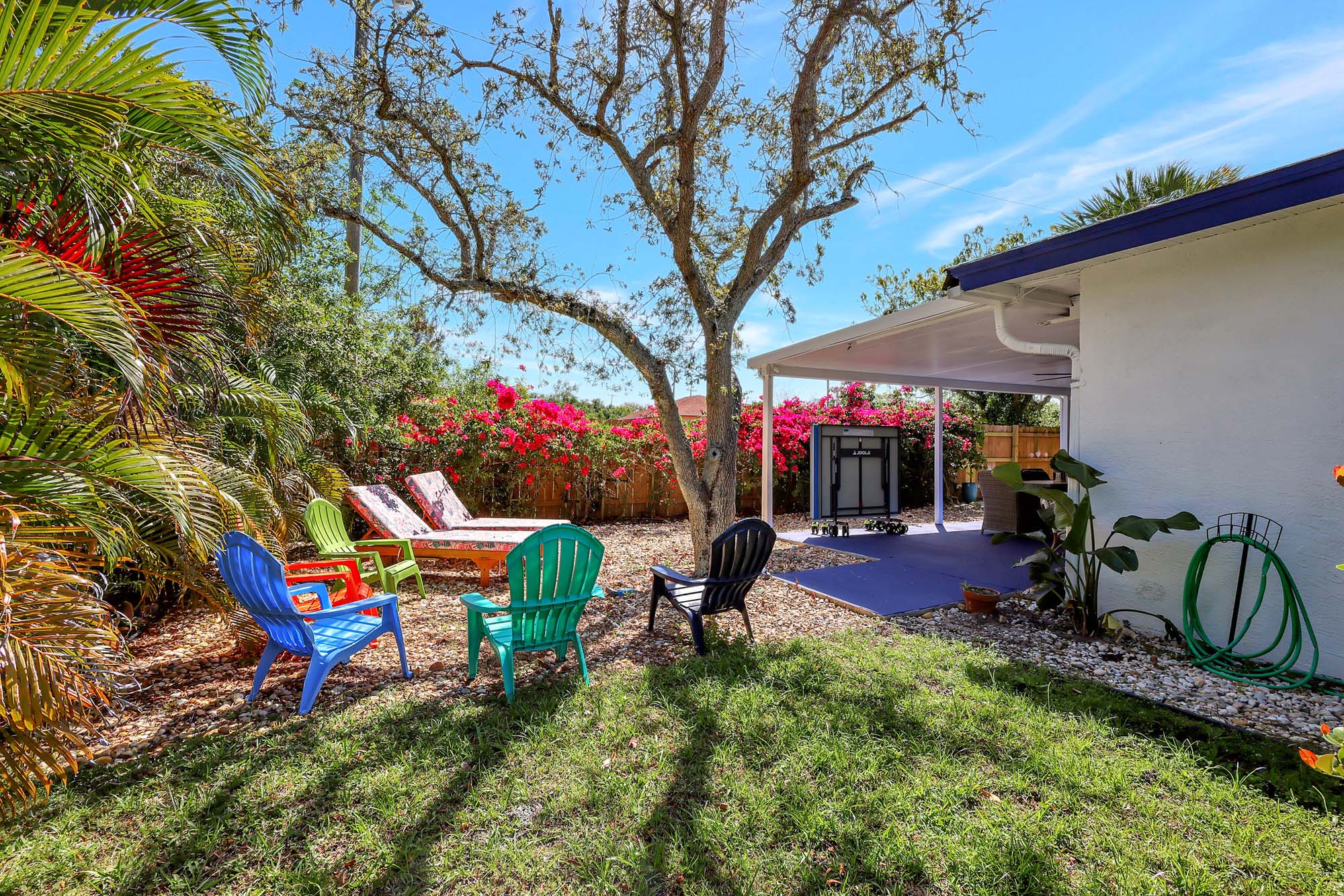 Backyard with colorful chairs and lounge chairs under a tree