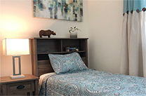 Single bed with lamp and shelf in bright room