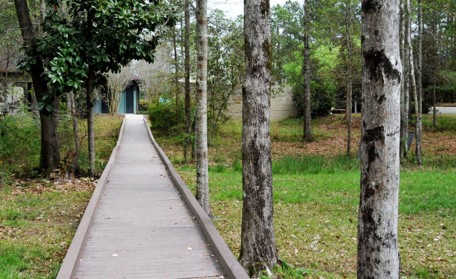 Wooden boardwalk winding through a wooded campus