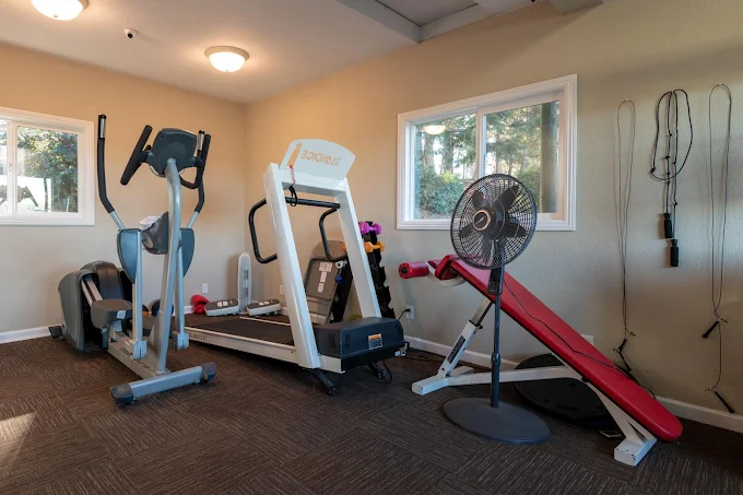 Gym equipment including treadmill and elliptical