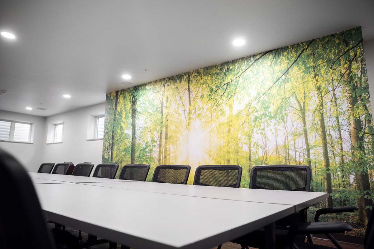 Meeting room with long tables and forest mural on the wall