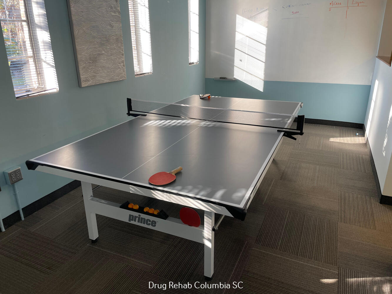Recreation room featuring a ping pong table and paddles
