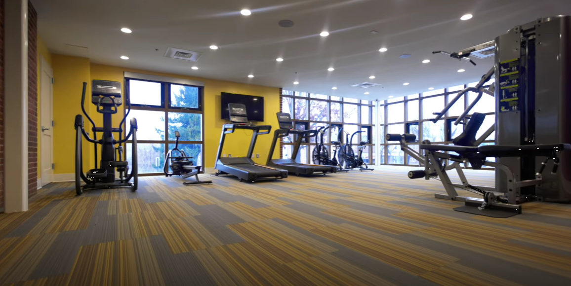 Modern gym with treadmills and strength machines