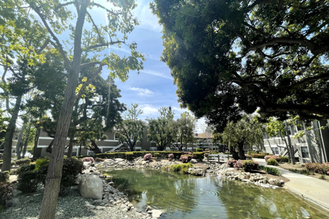 D’Amore Healthcare – Rene facility exterior