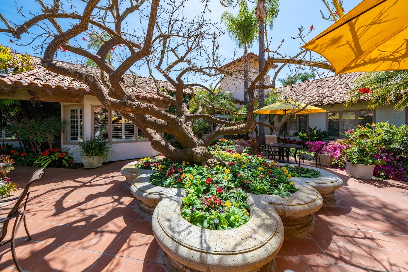 Casa Palmera Del Mar Photo5