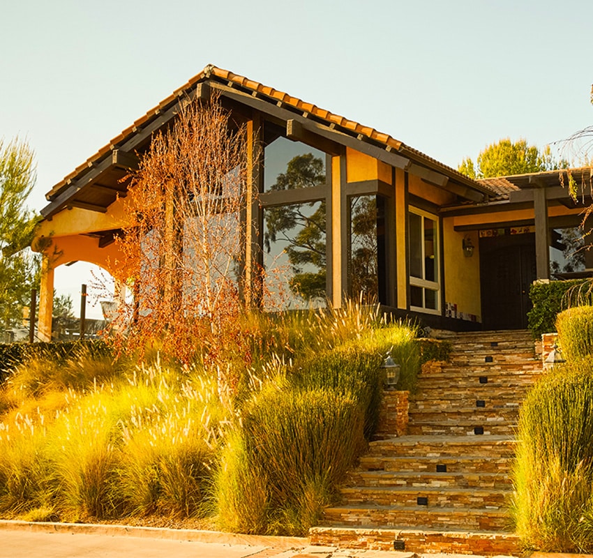 Sunlit home exterior with stone steps and tall grasses.