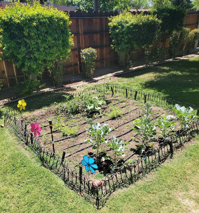 Garden beds used for outdoor activities at New Hope Recovery