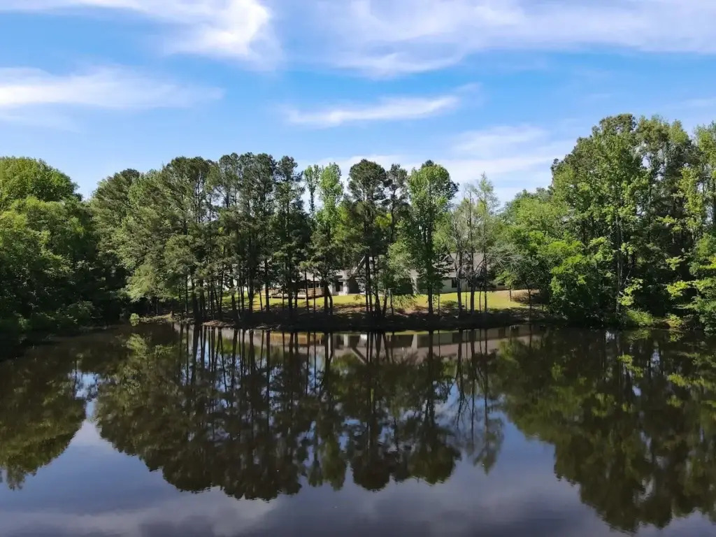 Still lake surrounded by tall trees under a blue sky.