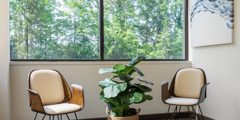 A serene seating area with two stylish chairs, a vibrant potted plant, and a large window showcasing lush greenery, perfect for calm conversations.