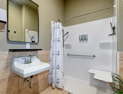 Accessible bathroom with roll-in shower and grab bars