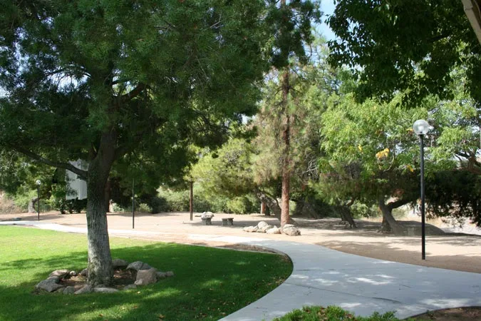 Tree-lined walkway with benches and grassy areas