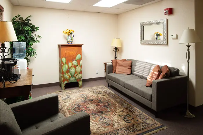 Cozy lounge with sofas, rug, and cactus-themed cabinet
