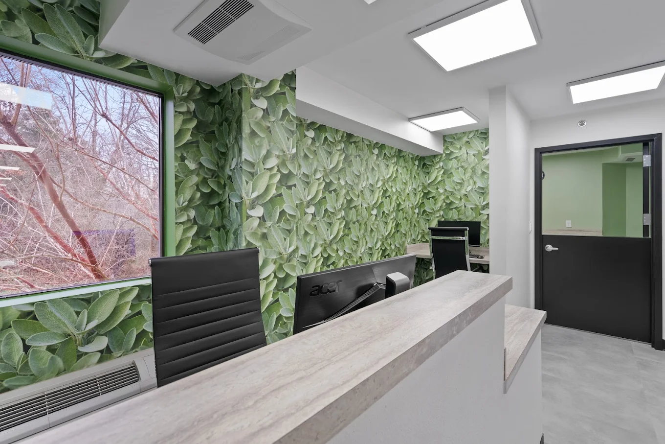 Reception desk with leafy green wallpaper and modern lighting