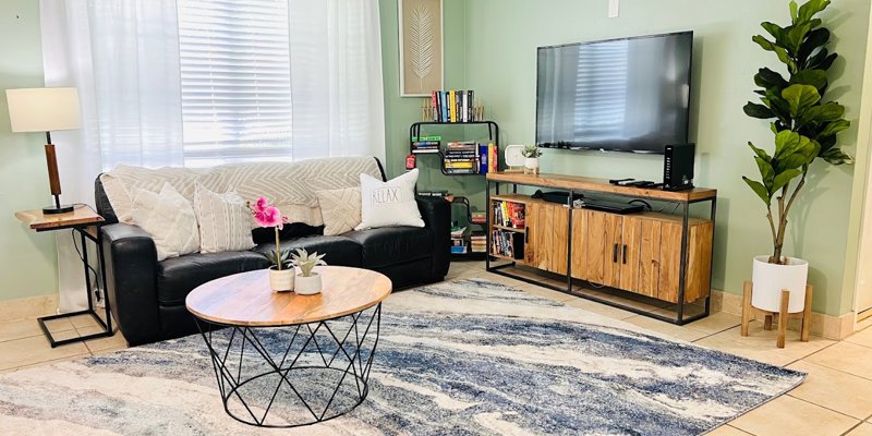 Cozy living room with couch, TV, and bookshelves.