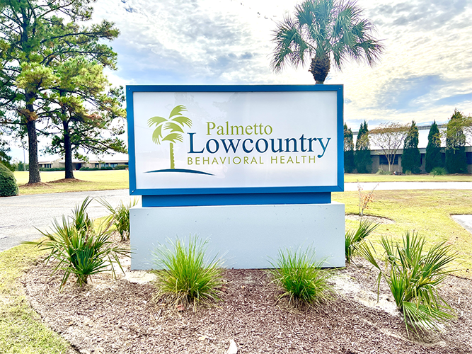 1 Palmetto Low Country Behavioral Health Llc North Charleston